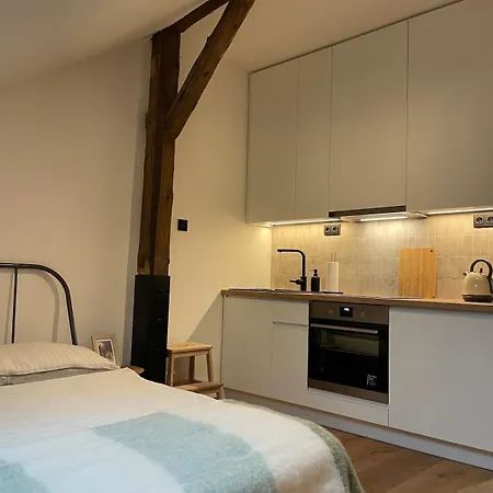 Apartment Utulny V Zidovske Ctvrti